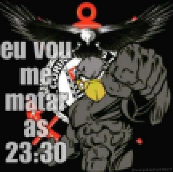 Cavalinho do SCCP tweet media