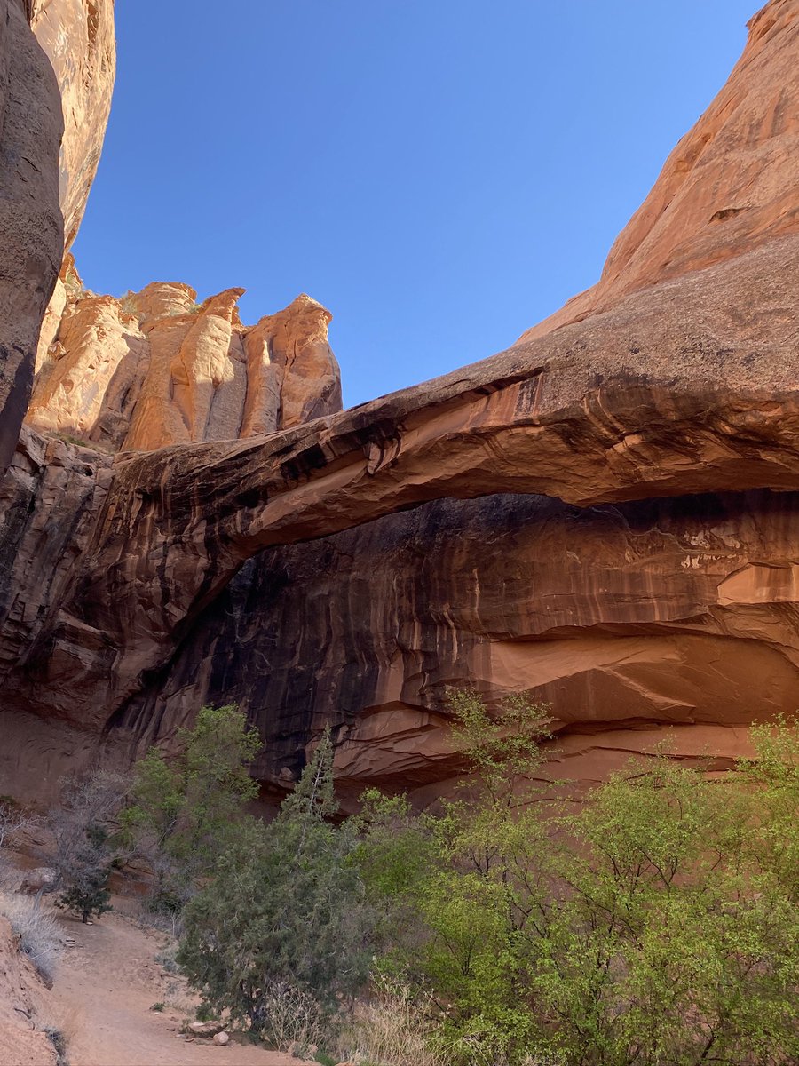 DominusDarkwolf's tweet photo. Utah trip https://t.co/C0KvJTsh8i