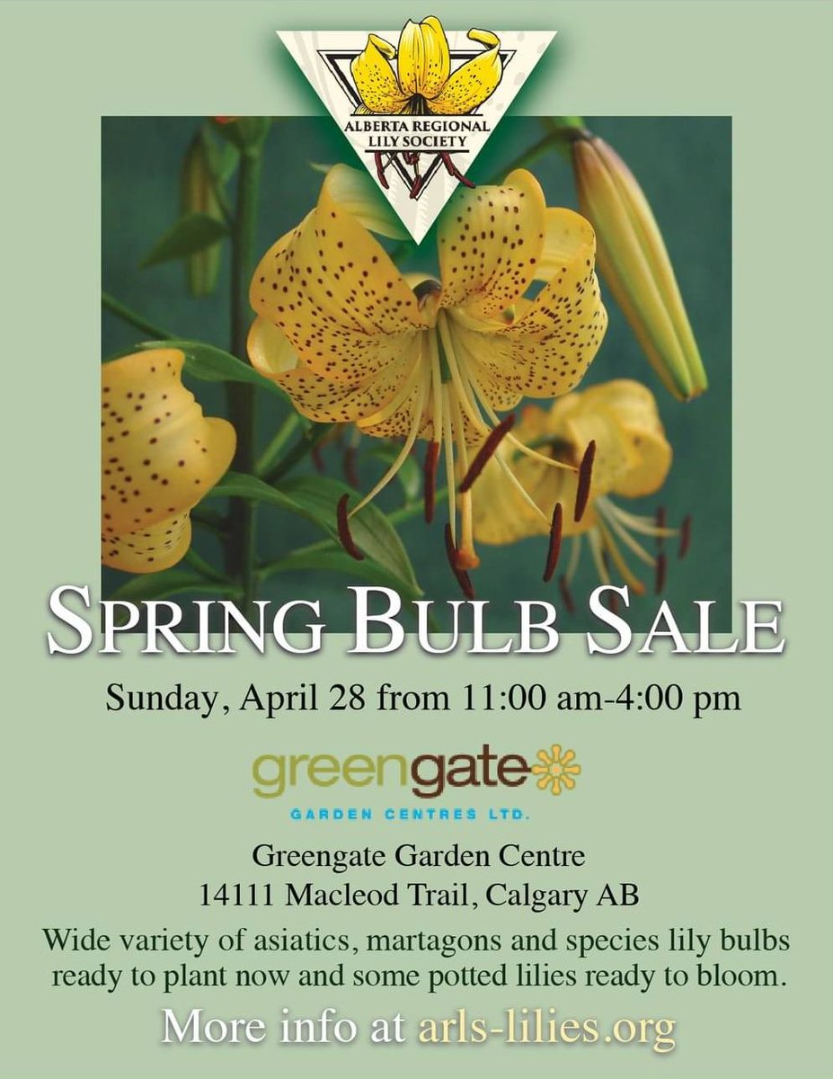 Mark your calendar! The Alberta Regional Lily Society is hosting a spectacular Lily Bulb Sale at greengate! Date: Sunday, April 28th @11:00 am – 4:00 pm.
Enhance the aesthetic appeal and bring joy to your garden with Asiatic, Martagon and Species lilies! #yycLiving #yycEvents