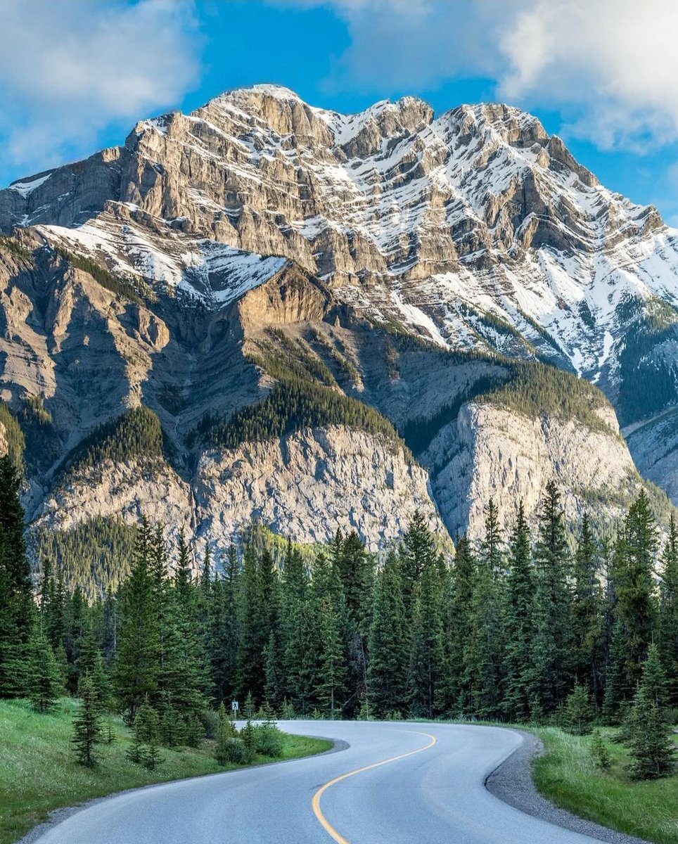 #nature #mountains #roadmap #ecology #forest #trees #road #landscape #summer