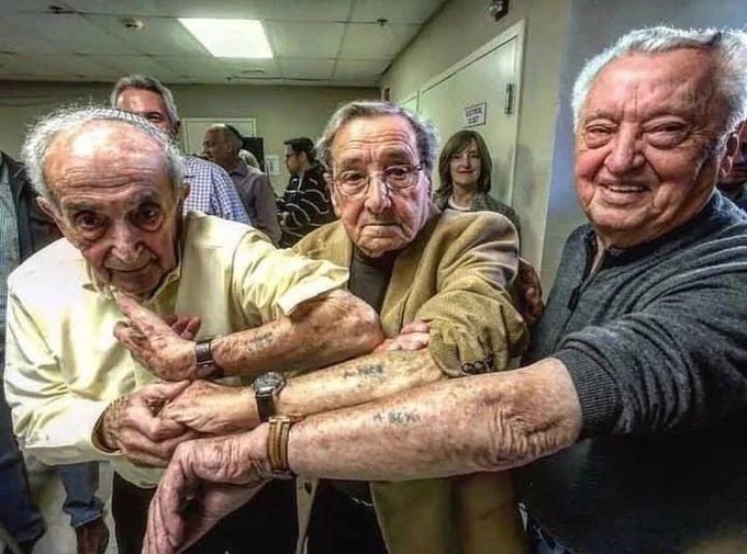 fasc1nate's tweet photo. Three Jewish men who all survived the Auschwitz concentration camp and were liberated on the same day reunite 73 years later, in 2019    

All three men survived the camp, and the number on their tattoos are different by only 10, meaning they were all in the camp simultaneously.     

All three went on to have families and good lives.    

Photographer: Sandi Bachom  
Source: Last eye witness project