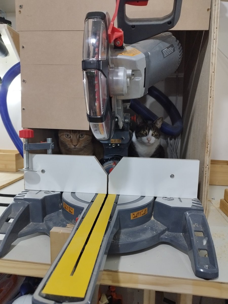 This saw is occupied.... Try again later 🧡Cooper and 💚 Eevee