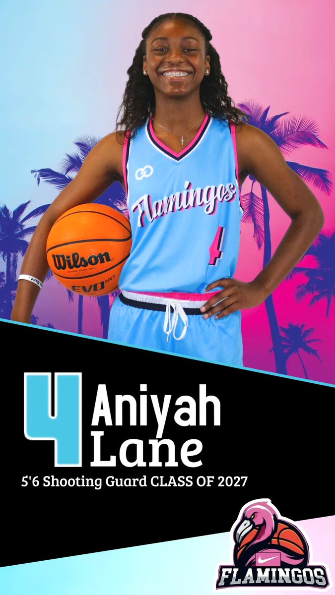 Mississippi Flamingos AAU tweet media
