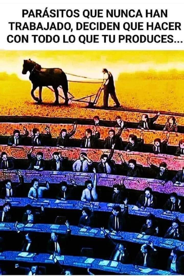 LocrtaTapia's tweet photo. Tal cual @PartidoMorenaMx https://t.co/CCxoejol6L