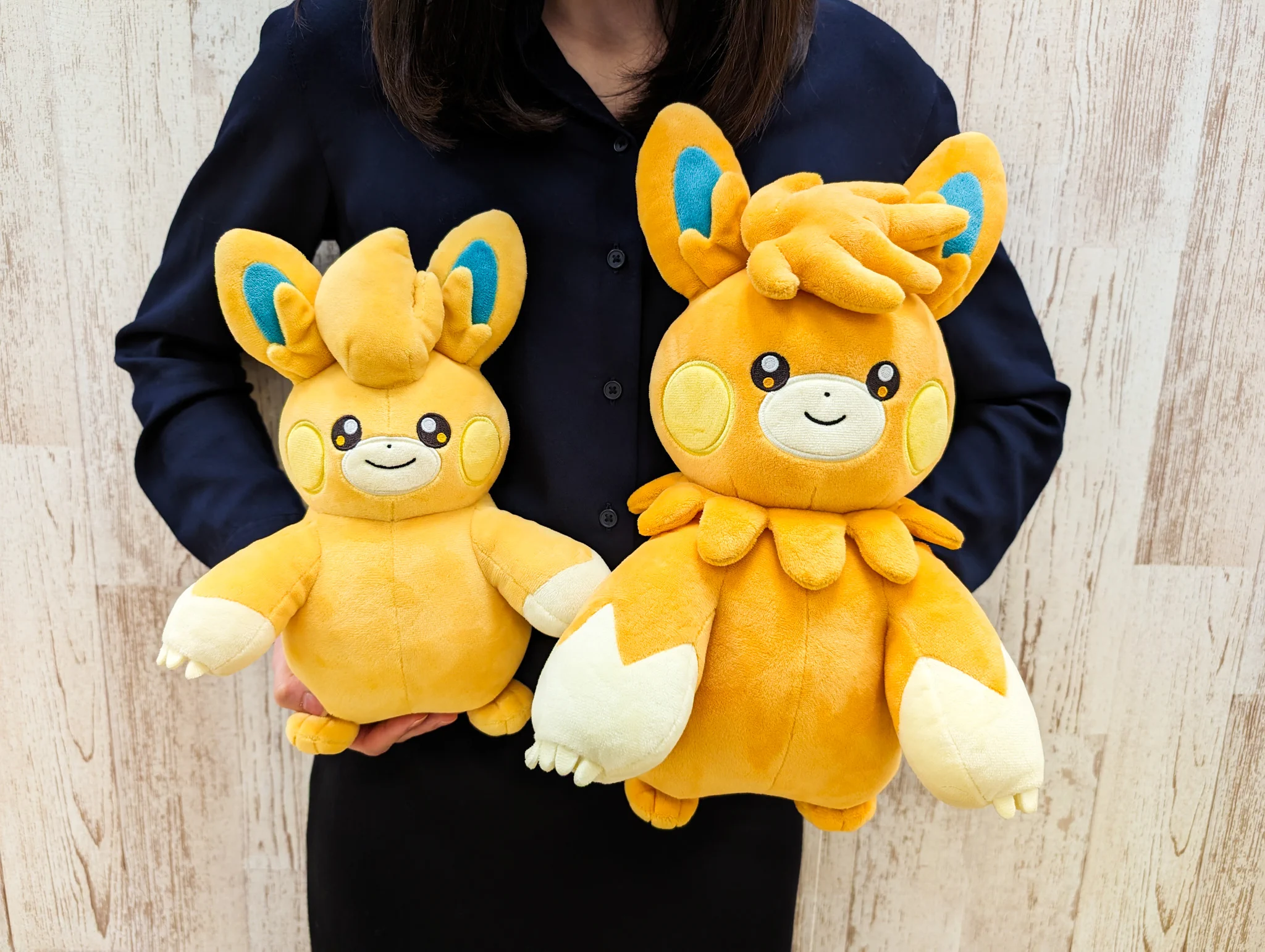 ポケモンだいすきクラブ編集部【公式】 on X: 