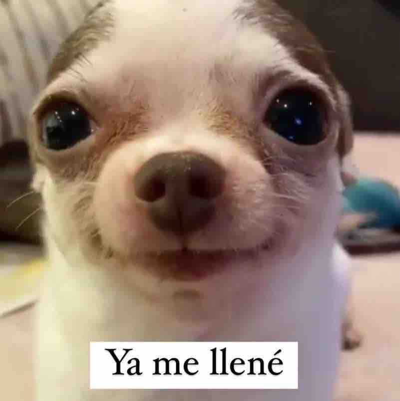 Yo después de andar insiste e insiste con que me llevaran a mi restaurante favorito: