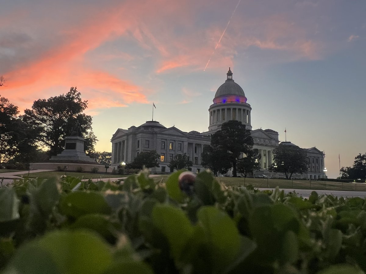 The prettiest Capitol sunset with a ladybug friend #arwx #ARStormTeam