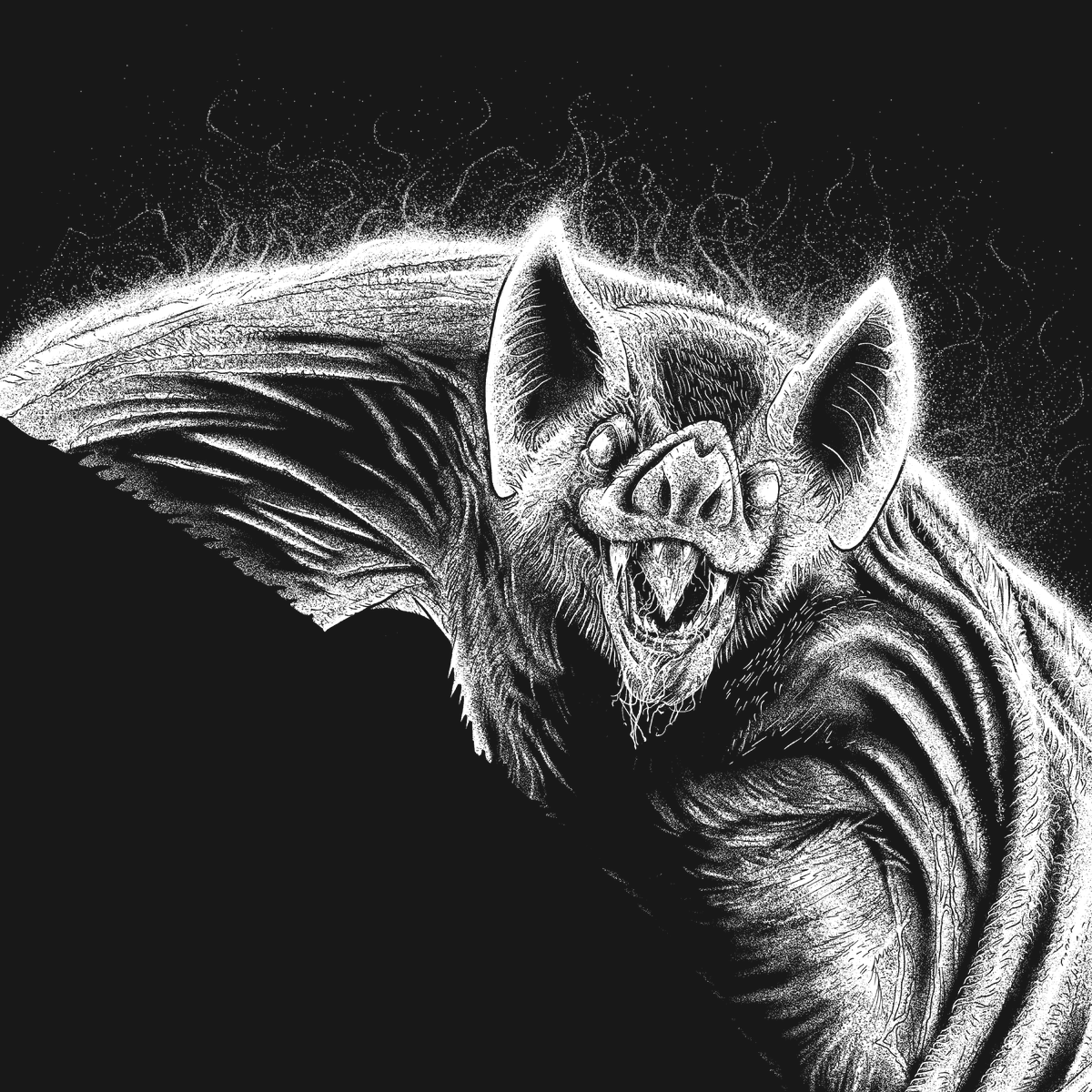 RJSoria's tweet photo. Happy International Bat Appreciation Day!
Re-did an oldie (still work in progress)
#art #illustration #digitalillustration #drawing #inkart #gothart #darkart #bat #vampire #vampirebat #animaldrawing #metalalbumart https://t.co/PMbqonoP1X