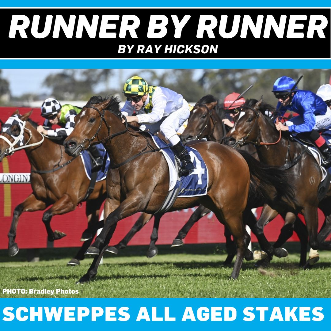 There's plenty of depth to Saturday's $1.5 million Schweppes All Aged Stakes at Randwick, @ray_hickson takes a look at the chances of all 14 runners in the Group 1 contest. 👇 READ: tinyurl.com/ysxa99b2