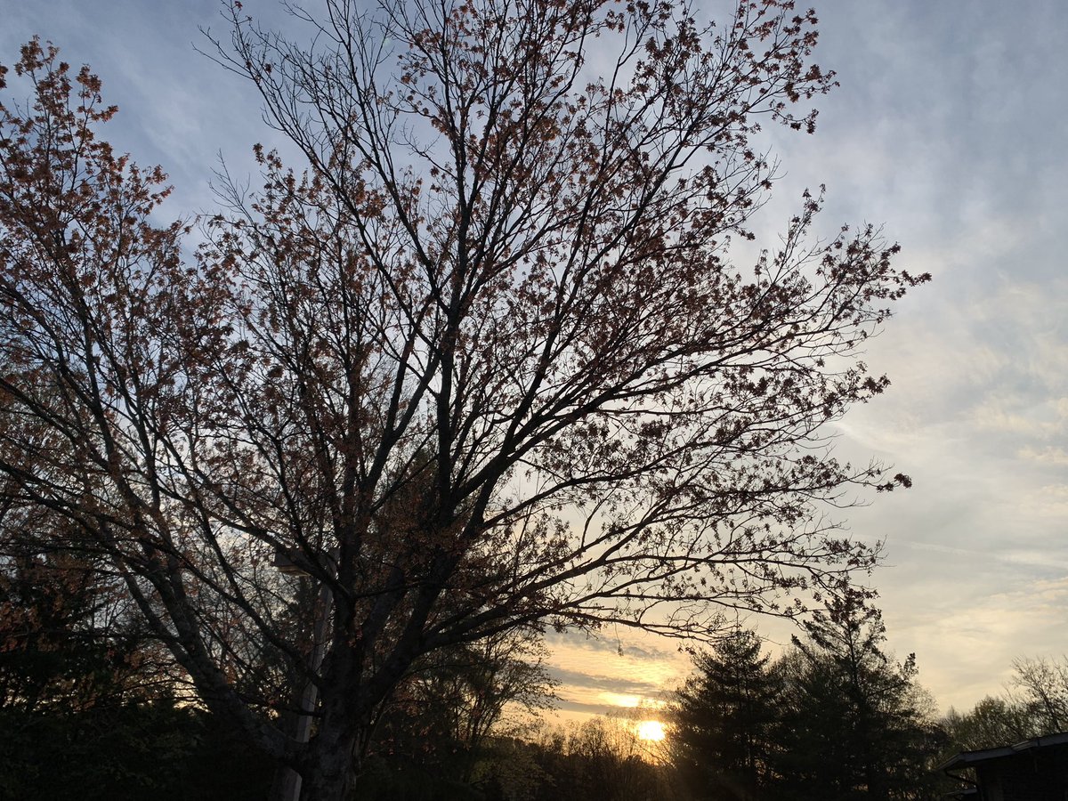 πΉπΆπππ€ (@oncloud92_bitch) on Twitter photo π€οΈ π€οΈ