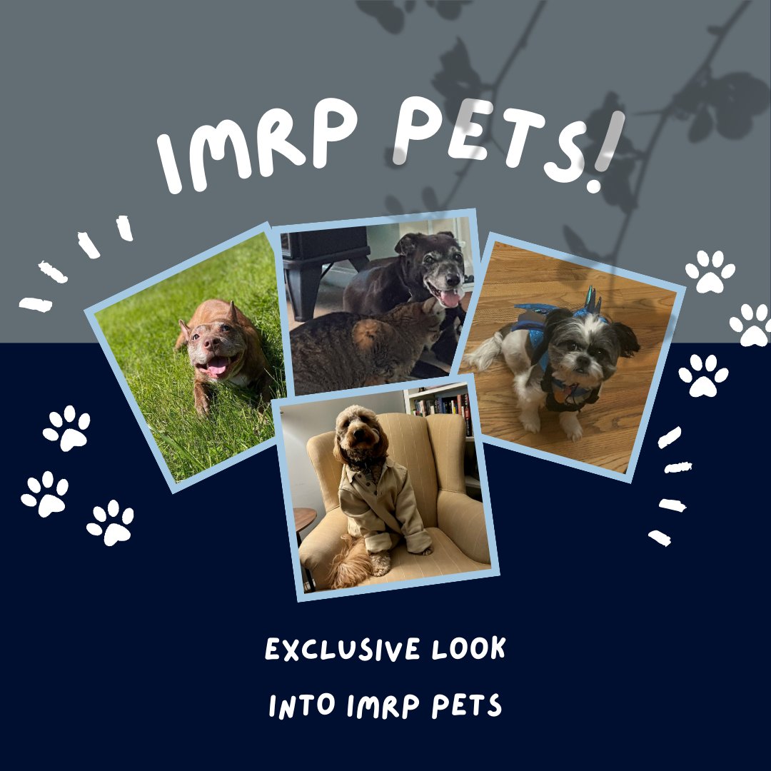 UConn IMRP tweet media