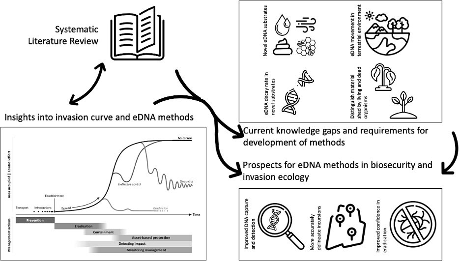 How can #eDNA methods be applied to problems of terrestrial #biosecurity & #InvasionBiology? Our review in @SciTotEnv looks into how this promising tool is being applied, its future potential & what needs to be done to close priority #KnowledgeGaps.

OA: doi.org/10.1016/j.scit…