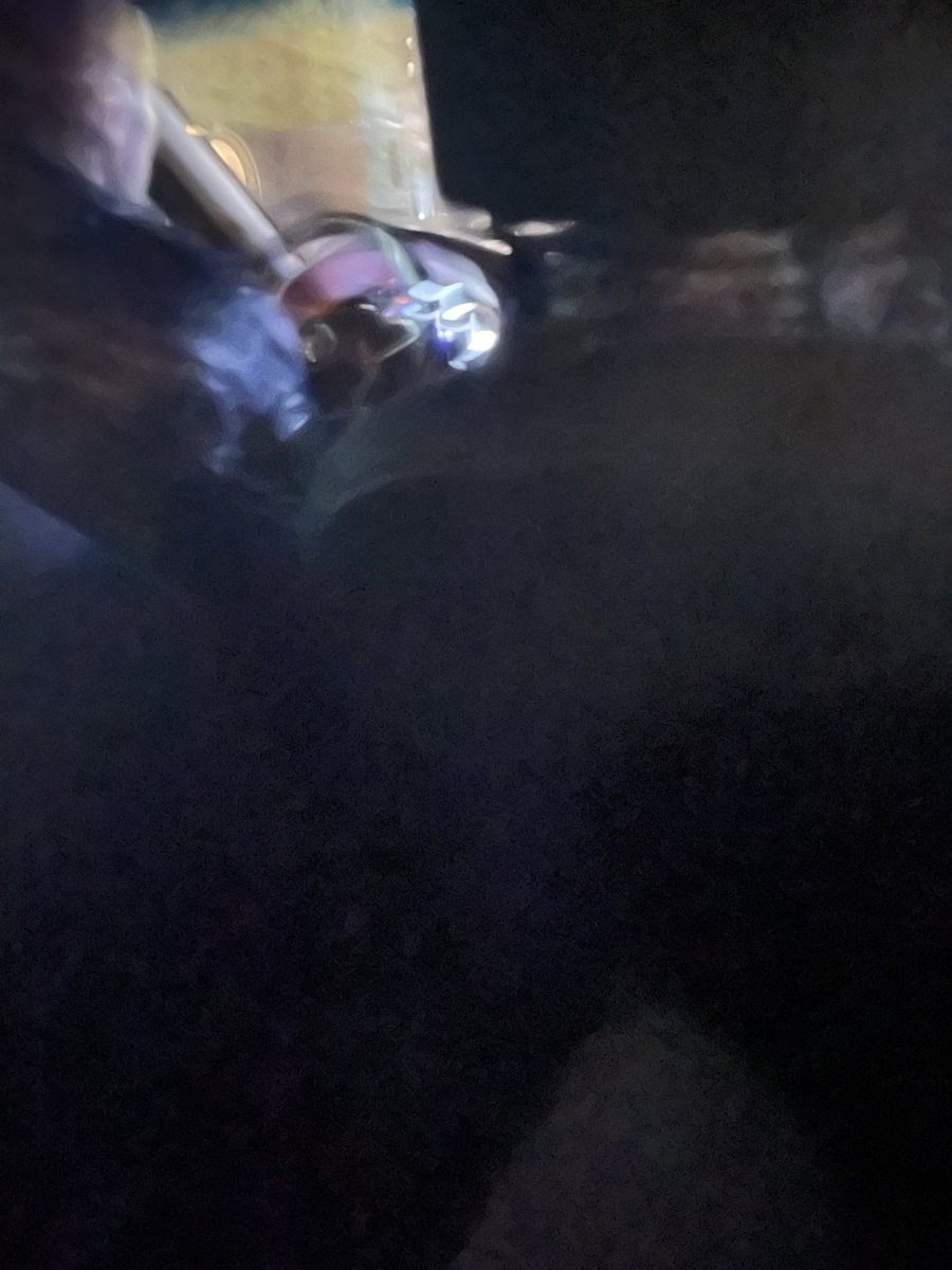 Во истину tweet media