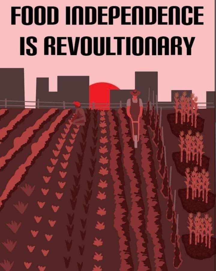 IDJoe4Idaho's tweet photo. Self ownership is a hard road if the opposition owns your food.
#SupportLocalFarmers #SeedsOfPeace #VictoryGardens. https://t.co/B8bWIXFxdb