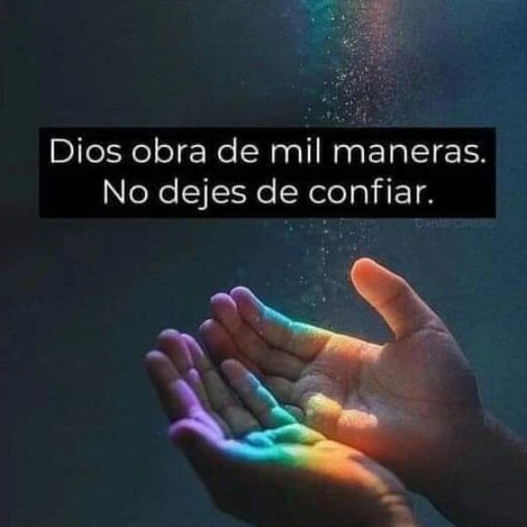 DiosUneSusHijos's tweet photo. https://t.co/WO6n5KtgGh
