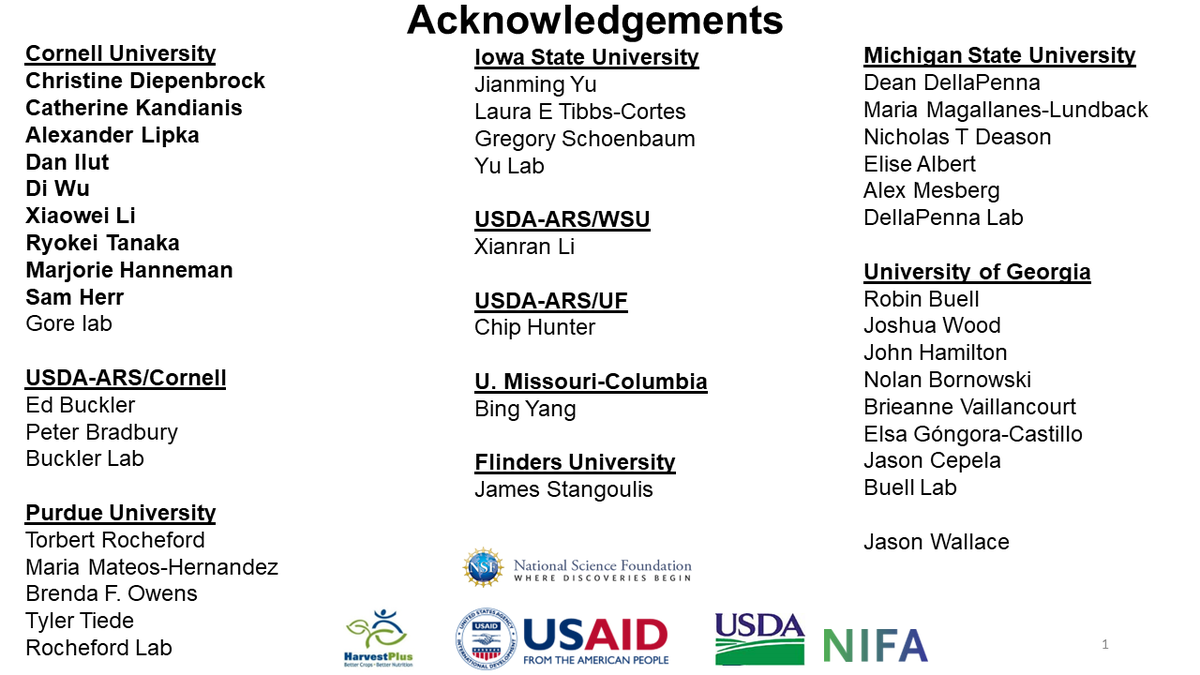 Gore Lab tweet media