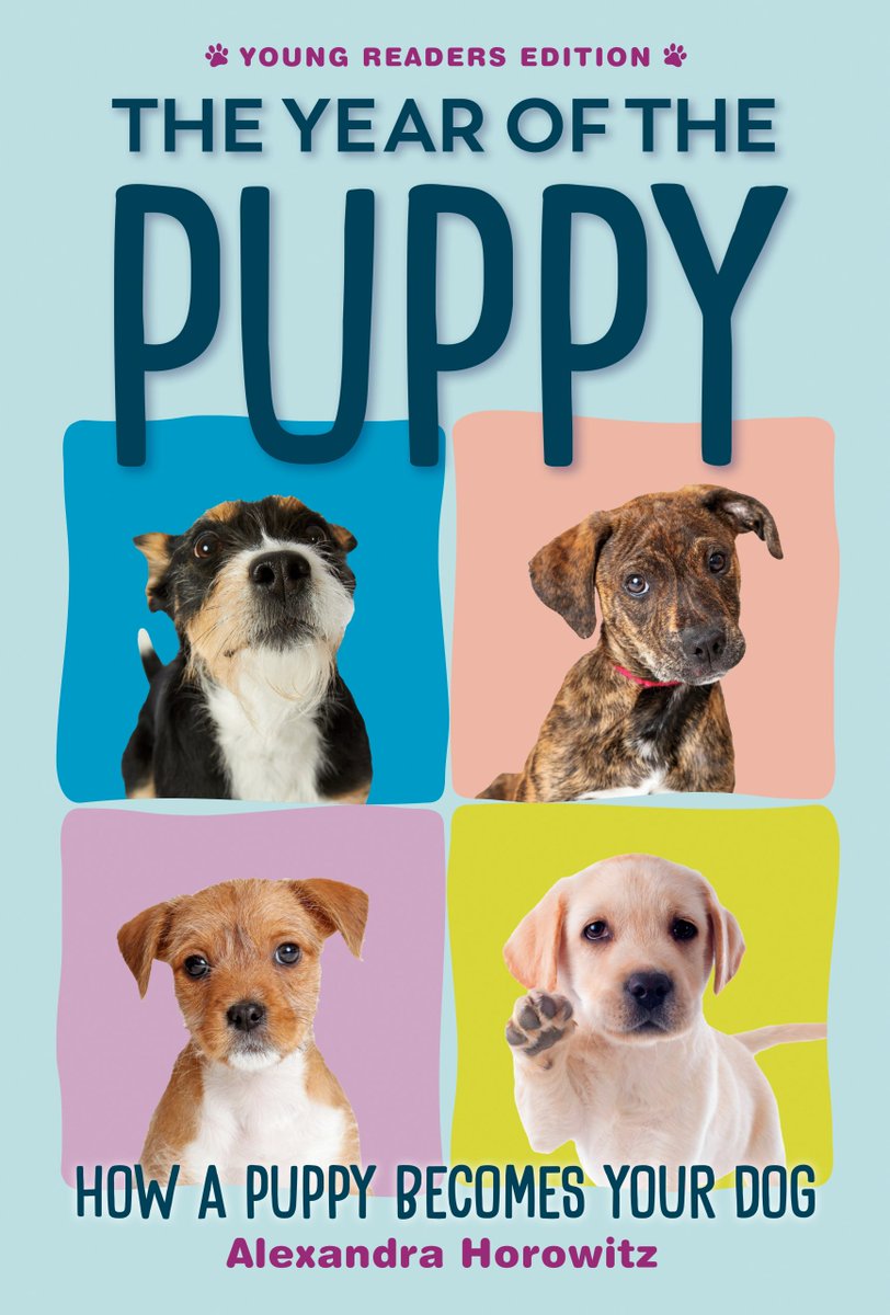 Spotlight on THE YEAR OF THE PUPPY: HOW A PUPPY BECOMES YOUR DOG by Alexandra Horowitz, Excerpt & #Giveaway! yabookscentral.com/spotlight-on-t…