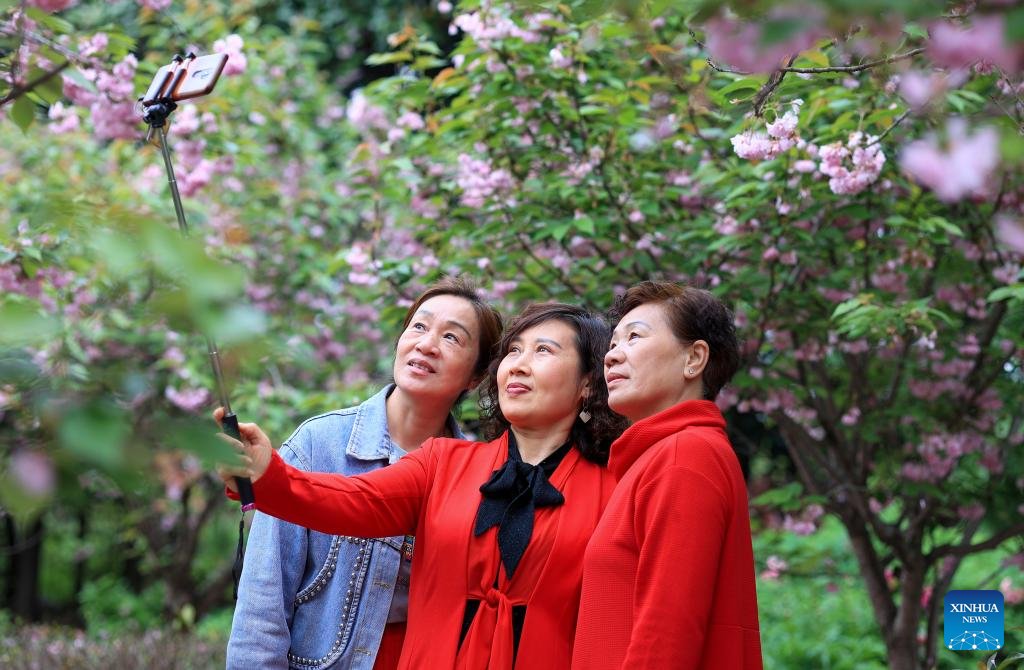 VoiceofPD's tweet image. #SpringinChina
🌸People enjoy outdoor activities as spring flowers bloom across China
#Flowers 
More pics: en.people.cn/n3/2024/0418/c…