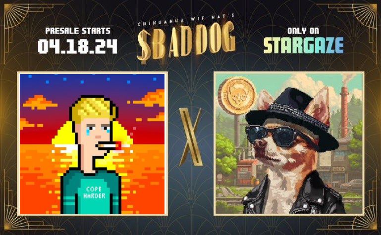 Coping Collective | OFFICIAL X of Cats and Punks tweet media