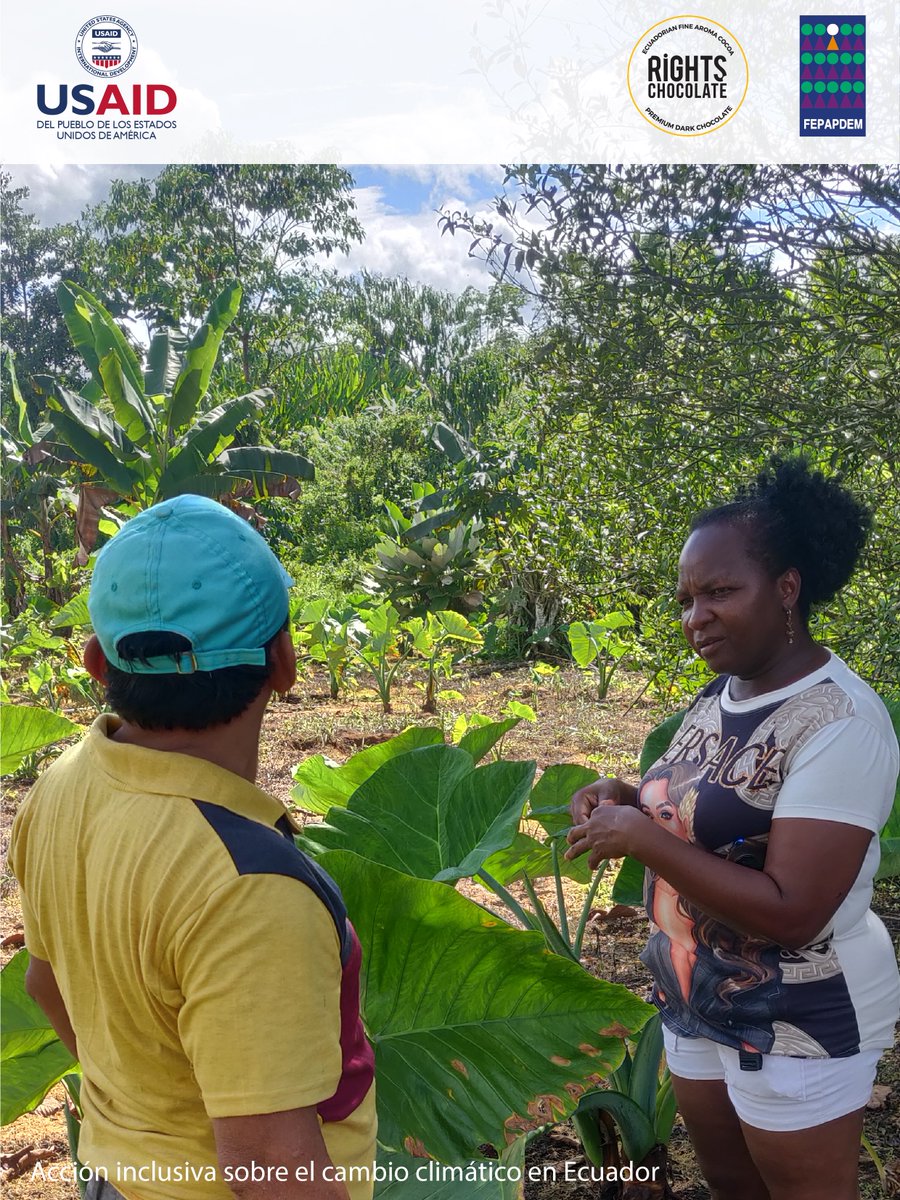 fepapdem's tweet photo. @fepapdem  y #ChocolatesRights visitan #Esmeraldas para conocer las necesidades y barreras que enfrentan las personas con discapacidad y sus familias en la producción de cacao y como el Cambio Climático afecta su forma de vida.
Gracias a @USAIDLAC 
#inclusion #dispacacidad https://t.co/UMbkcXkYRU