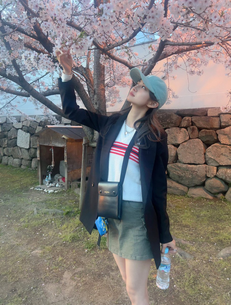 nnk525's tweet photo. さくらさん🌸🌸 https://t.co/31qbHlaJt3