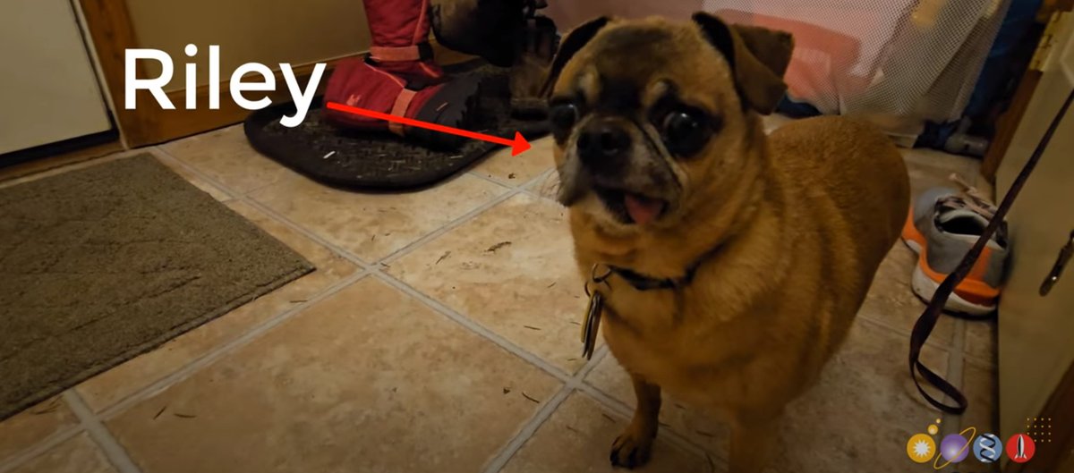 YouMakeRobots's tweet photo. Nice article >  Custom Dog Door Prevents Culinary Atrocities https://t.co/H0XAKI6lF7 #ArduinoHacks #homehacks https://t.co/U9KiuHEvfY <Arduino https://t.co/RCtNFBnha7