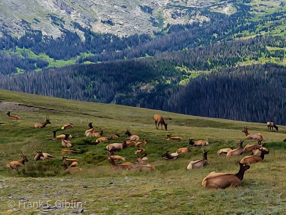 @YoseConservancy @59NationalParks @naturetechfam A6: Standing on top of a National Park (RMNP) with a view like this...what worries do you have in this moment? #ParkChat