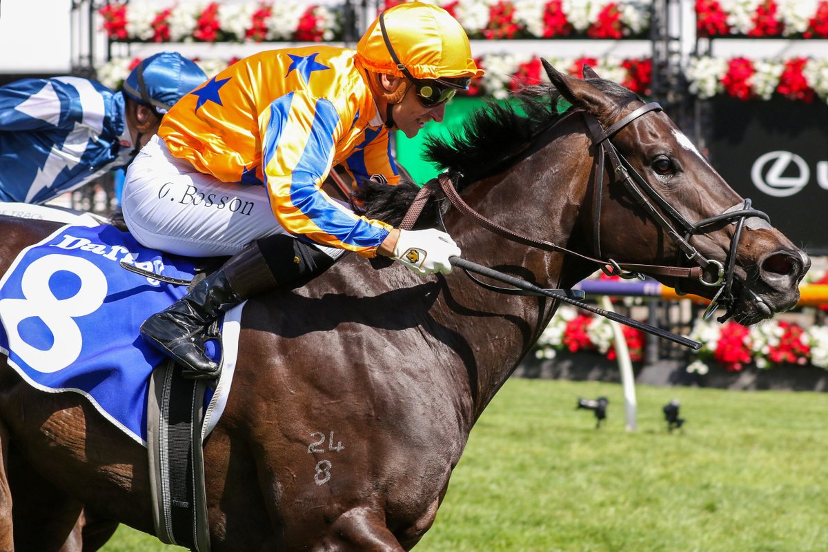 Te Akau Racing (@teakauracing) on Twitter photo Important day tomorrow at Te Akau Stud <a href="/TeAkauRacing/">Te Akau Racing</a> as Imperatriz's owners join together for a pre-planned welcome home celebration, which now is also a Bon Voyage as she soon embarks on her next chapter. We will share photos but it will be a special and very treasured occasion Important day tomorrow at Te Akau Stud <a href="/TeAkauRacing/">Te Akau Racing</a> as Imperatriz's owners join together for a pre-planned welcome home celebration, which now is also a Bon Voyage as she soon embarks on her next chapter. We will share photos but it will be a special and very treasured occasion