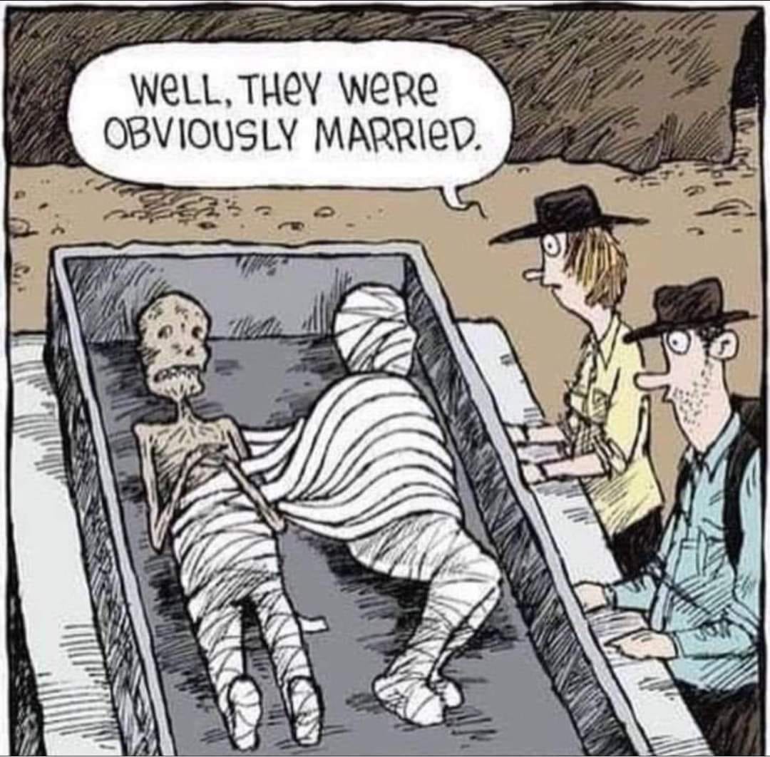 Lol. This used to happen to me & my husband. We now share the bottom sheet, but we have our own top sheet & blanket. Still can cuddle. #humorous #humor #humour #jokesfordays #jokes #joke #mummy #ComicArt #Friday #truelove #lovers #FridayMotivation #fridaymorning #FridayMood