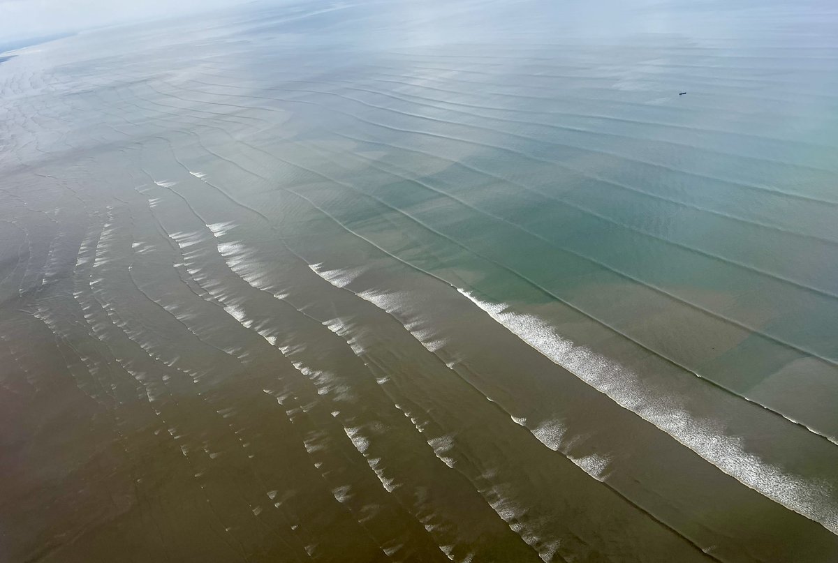 Pramod K Guru.MBBS,MD,DM,FASN tweet media