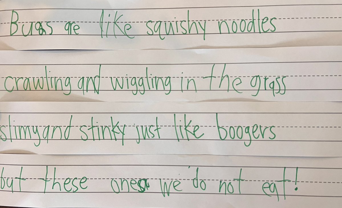 For your entertainment, I share a silly poem that is sure to make you giggle! This was written with firsties about bugs on the playground. This literacy experience didn’t come in boxed curricula but from Ts who lean into teachable, authentic, &amp; joyful moments ✏️❤️🐛