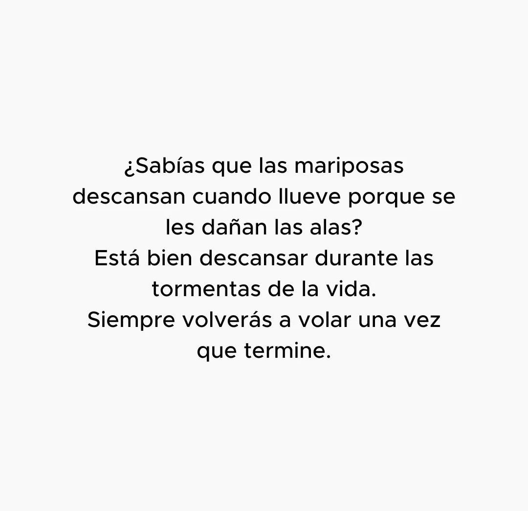 Seamos como las mariposas 🦋