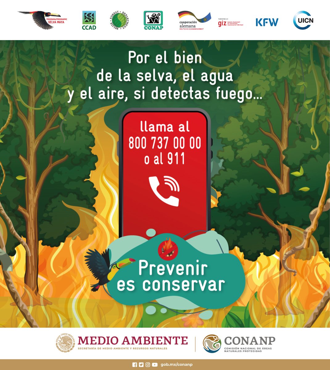 Si estás de visita en un bosque o selva y detectas fuego, ¡repórtalo! 🌳🔥👩‍🚒🚒 Es importante seguir las recomendaciones para cuidar de estos ecosistemas, ya que nos brindan una gran variedad de servicios ambientales. 💚 ¡Evitemos los #IncendiosForestales! 🔥❌