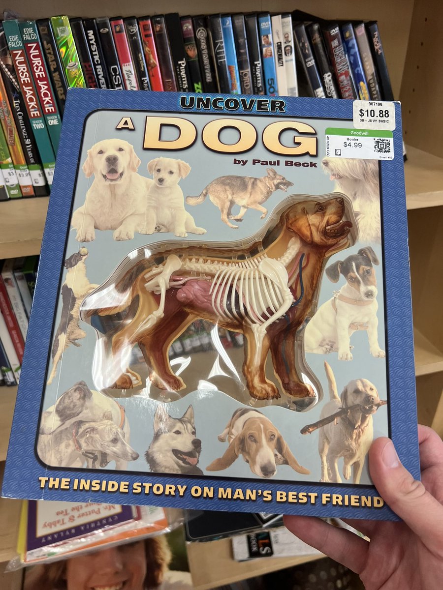 People keep saying they have “that dog in them” but do they know what’s in that dog????