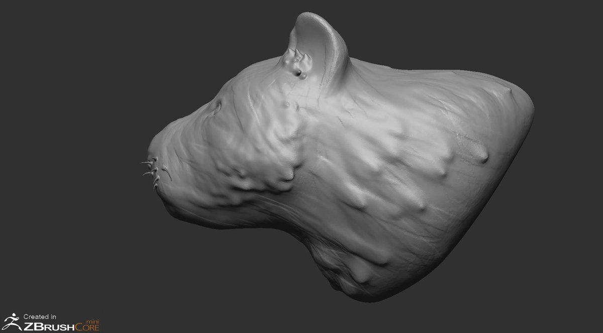 Rj6CcA8UD5uMd2O's tweet photo. なんか変虎作ってたはずやねんけどなぁ、
 #ZBrushCoremini
 #3DCG https://t.co/qjxyNDL6Ru
