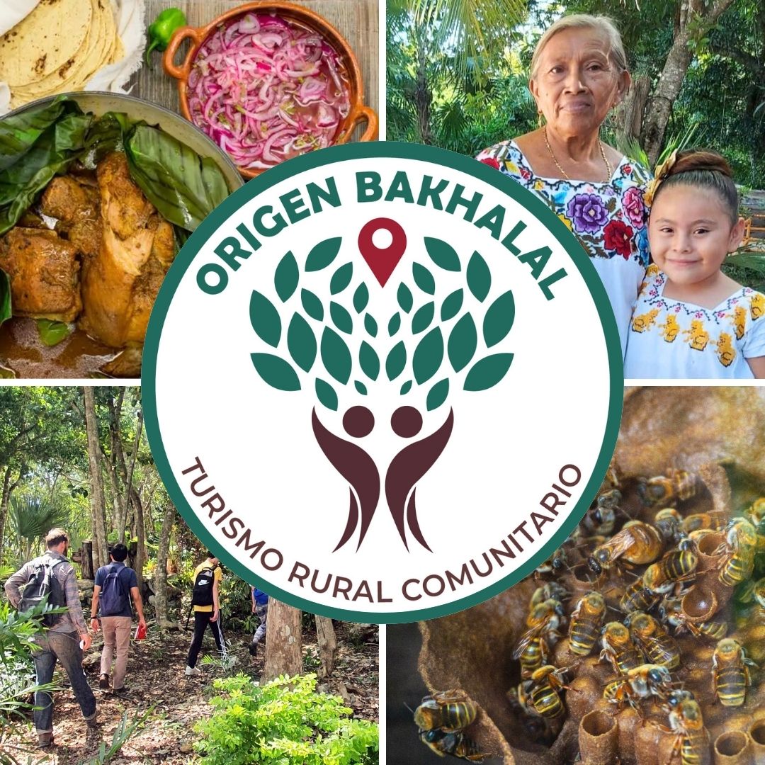 Fundación Emerge Bak'Halal IAP tweet media