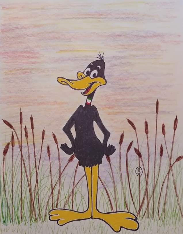 MattStarrFineA1's tweet image. Daffy Duck cartoon made its debut on this date in 1932.  Here is my drawing of Daffy Duck.   
#mattstarrfineart #artistic #sketch  #artist #myart #dailyart #artlover #artwork #artoftheday  #art 
#daffyduck #duck #ducks #cartoon #drawing