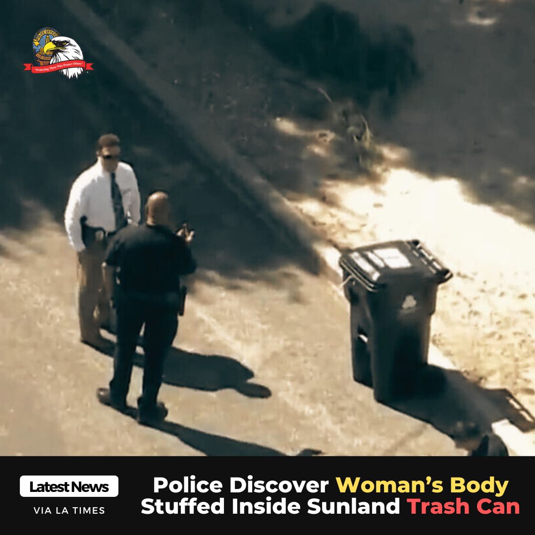 In a gruesome discovery, a woman’s body was found inside a trash can in Sunland on Tuesday morning. The victim is described as a 30-40 year old female. No other information was immediately provided. Full story link: linktr.ee/protectiveleag…