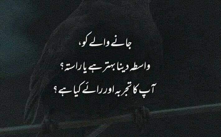 hayee766's tweet photo. آج کا سوال https://t.co/9aNpKcBLvd