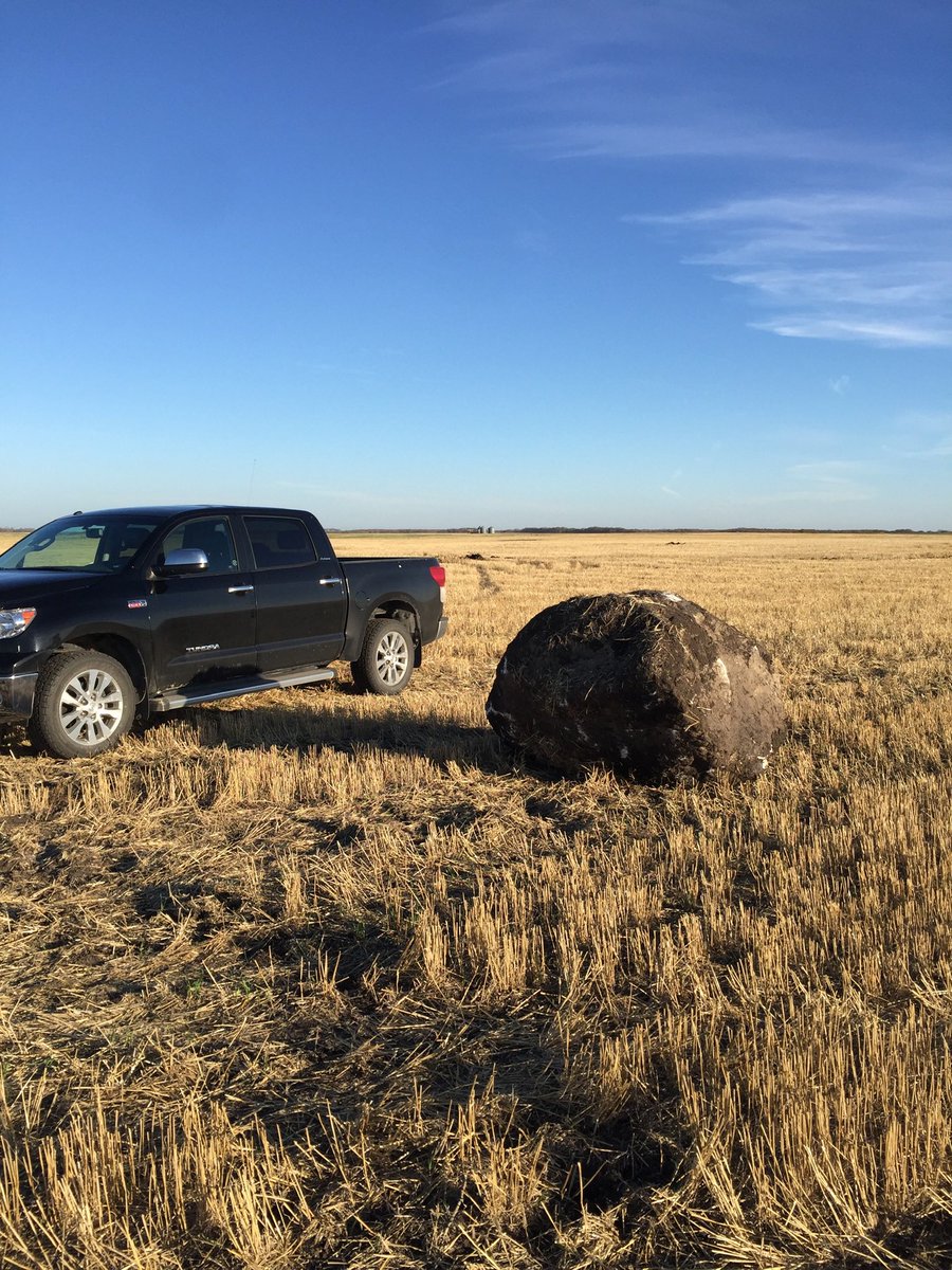 russpauls's tweet photo. @ISchmidtFaced @larsonfarmsND @ndrockfarmer West and a bit north gets you into prime rock-raising area. #rockchat https://t.co/rQlOldIEK0