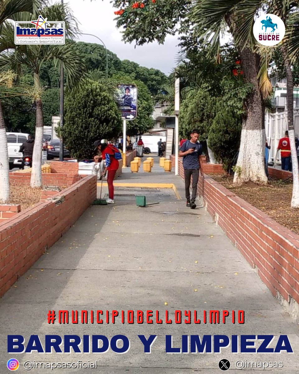 OficialImapsas tweet media