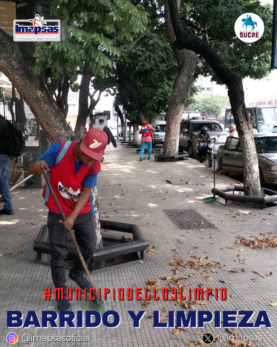 OficialImapsas tweet media