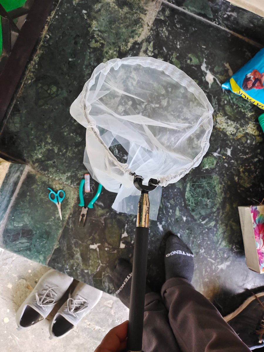 Amir Maqbool tweet media