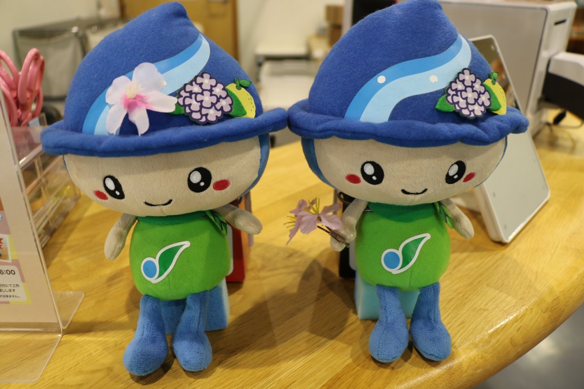 aq_sagamigawa's tweet photo. こんにちは!
新入生、新社会人の皆様、新しい環境に少しづつ慣れてきましたか?受付にいる"さがみん"たちも皆さんを応援しています!
桜が散り、また新しい季節がやって来ますね。
開館時間9:30~16:30
https://t.co/7SBvXOUfVm
#水族館 #科学館 #さがみん #相模原 #aquarium #science_museum https://t.co/dRARdoi7Cf