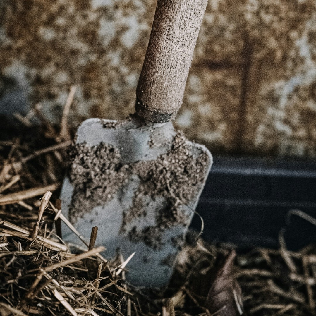 How to minimise soil disturbance:
Reduce Tillage
Use Cover Crops
Apply Mulch
Create Permanent Beds
Limit Machinery
Leave Crop Residues
Use Precision Techniques
🏷️
 #SoilHealth #NoTillFarming  #ConservationAgriculture #SustainableAgriculture  #OrganicFarming #SoilConservation