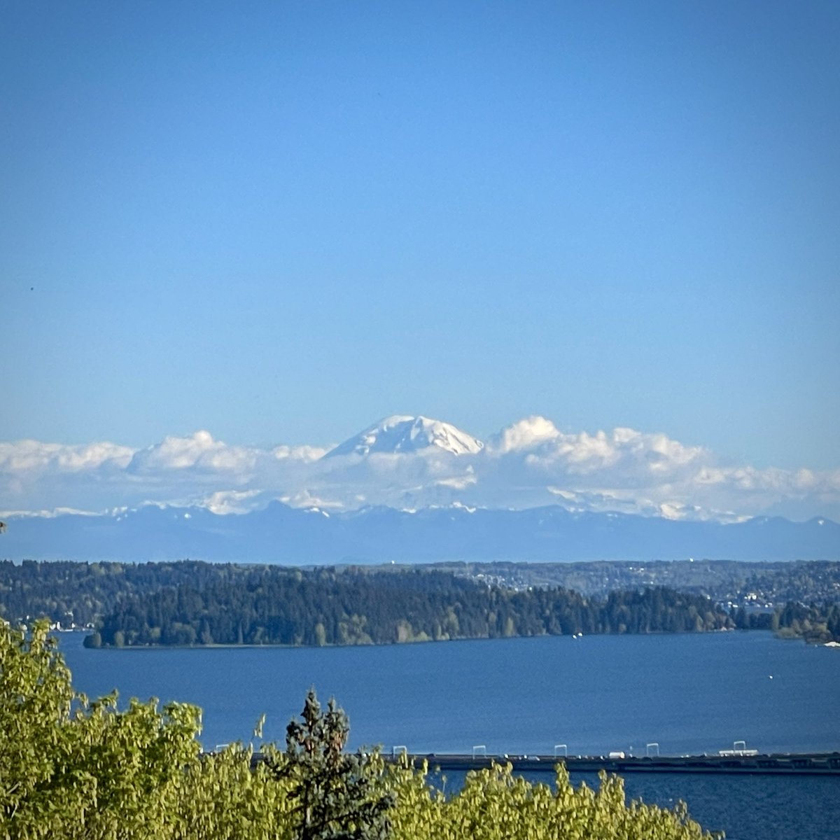 The mountain is making an appearance tonight after hiding all day. #wawx @MtRainierWatch