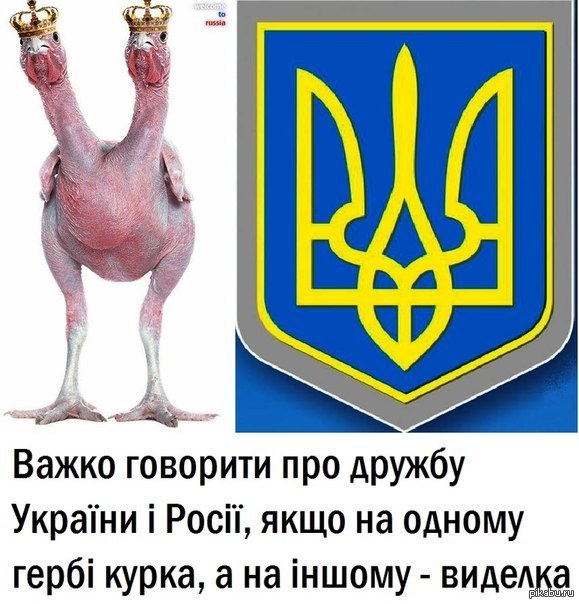 emijisan's tweet photo. @amartology Напомнило https://t.co/dtOGZYxEKJ