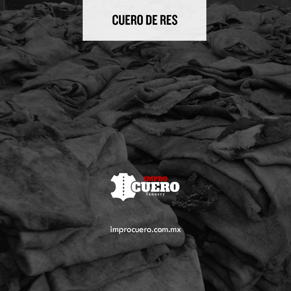 improcuero's tweet photo. Orgullosamente expertos en cuero de res.
Visita nuestra web: https://t.co/KSSZZnoUDa

#Improcuero #Pieles #Leather #LeatherCompany #Tannery #Tenería #Curtidos https://t.co/TBDgfWtcq6