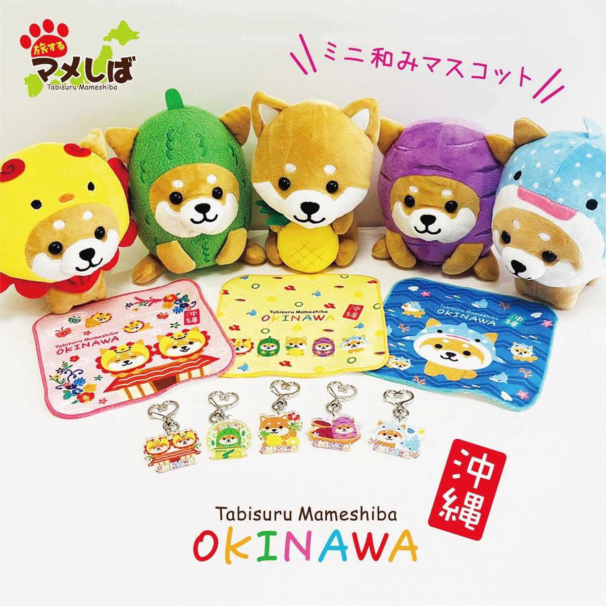 大人気の沖縄バージョンにシリーズが増えましたぁ🌺 🐾ミニ和み