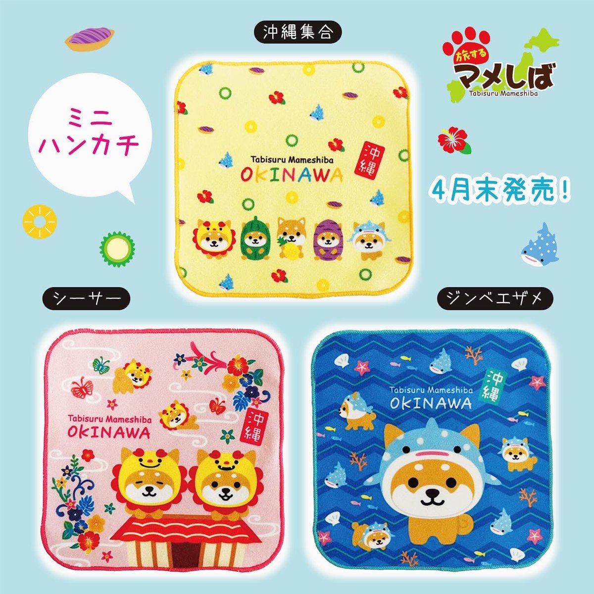 大人気の沖縄バージョンにシリーズが増えましたぁ🌺 🐾ミニ和み